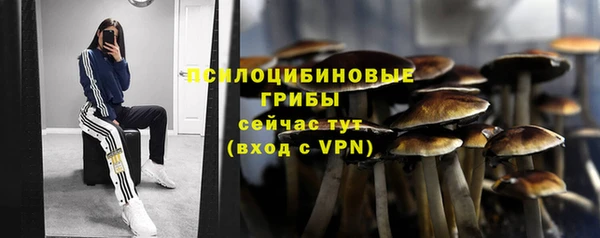 PSILOCYBIN Беломорск