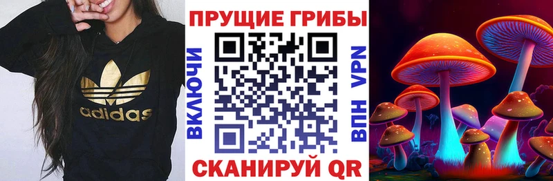 Псилоцибиновые грибы мухоморы Волхов
