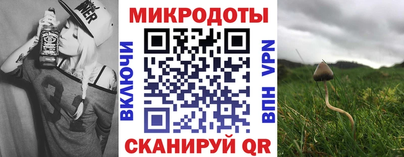 купить закладку Волхов Псилоцибиновые грибы GOLDEN TEACHER